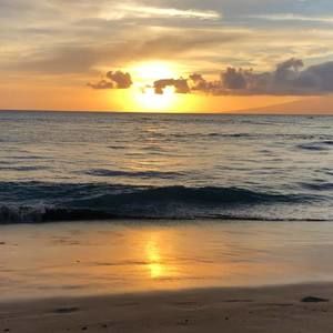 Meet your Posher, Ricky n susan